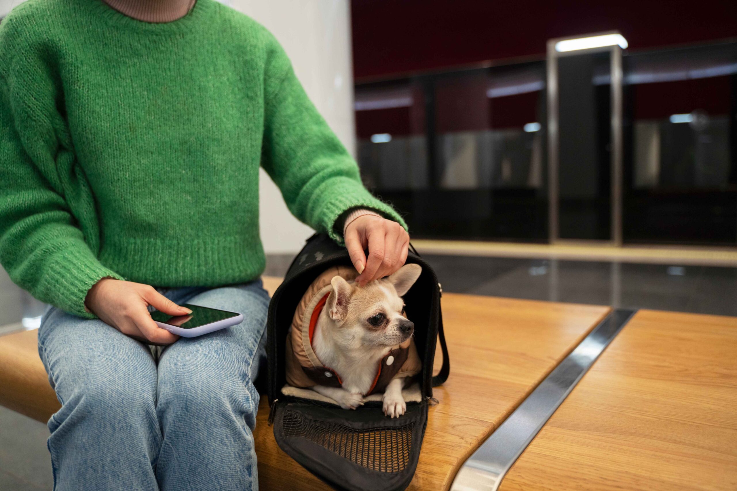 spirit airlines pet fee